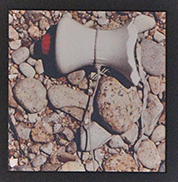 Stein2